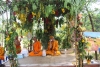 ประเพณีเทศน์มหาชาติ ประจำปี 2567