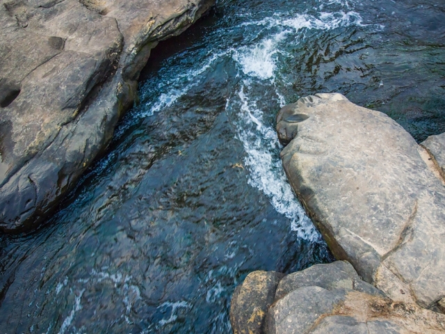 pics 5976 4